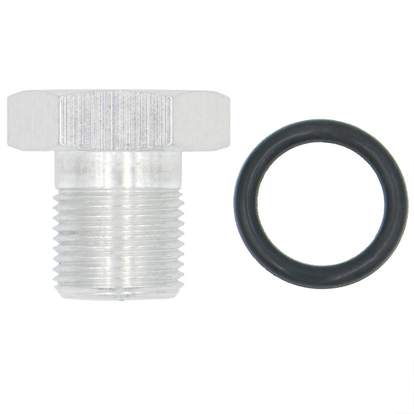 CAGS Solenoid Delete Plug - Skip Shift Eliminator Block Off T56