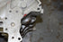 LS Alternator Bracket - Corvette Spacing (Low Mount)