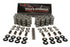 BTR LS Valve Spring Kit - Dual .650" w/ Titanium
