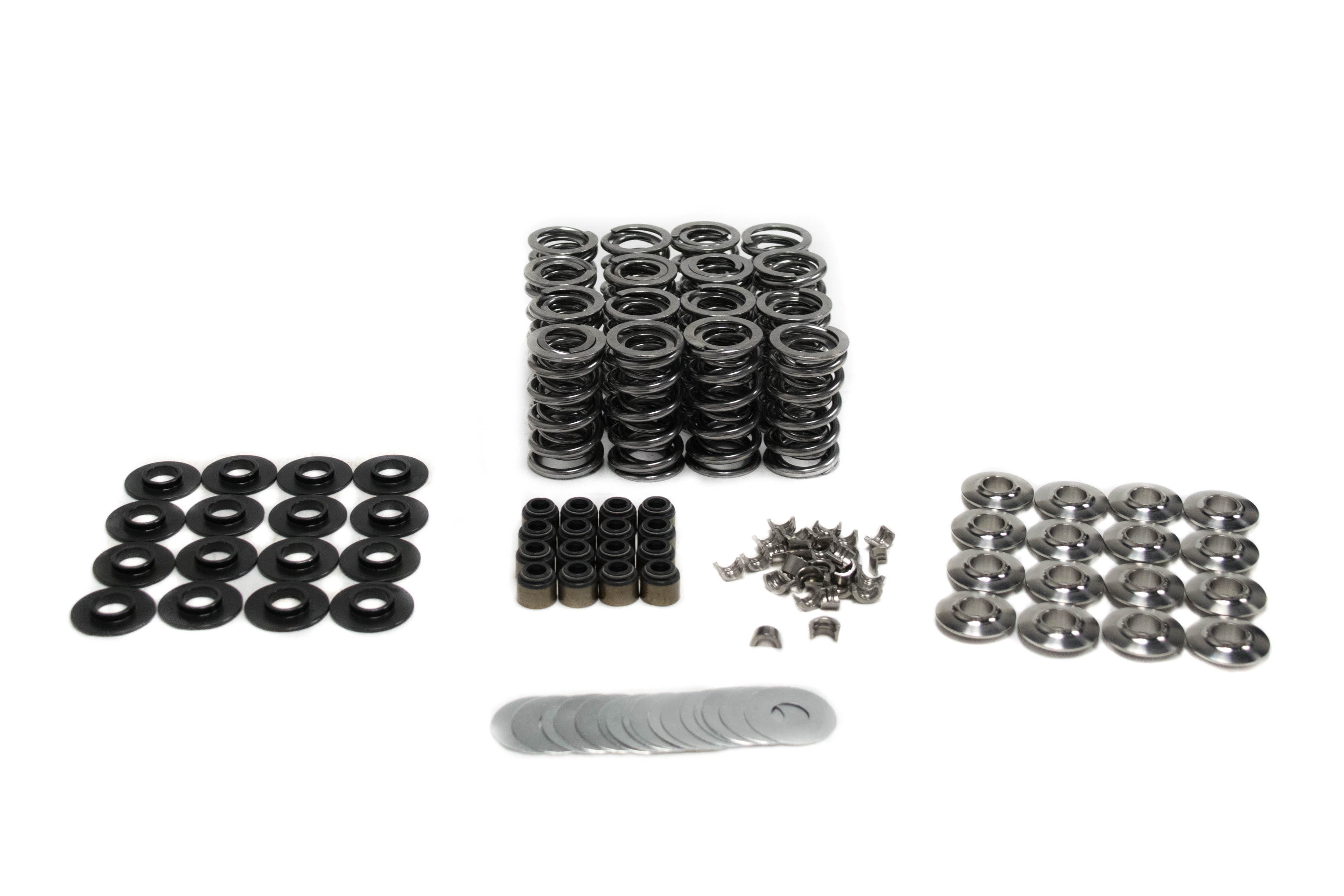 BTR GEN V LT1 Platinum Dual Spring Kit .660" Lift