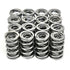 BTR LS Valve Spring Kit - Dual .660" - ICT Billet BTR-SK001
