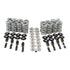 BTR LS Valve Spring Kit - Dual .660" - ICT Billet BTR-SK001