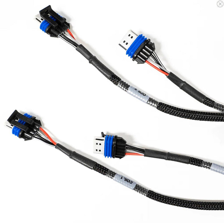 FuelTech - FT550 LS Complete Harness – ICT Billet
