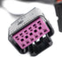 FuelTech - FT550 to FT600 Adapter Harness - ICT Billet FT-2002013545