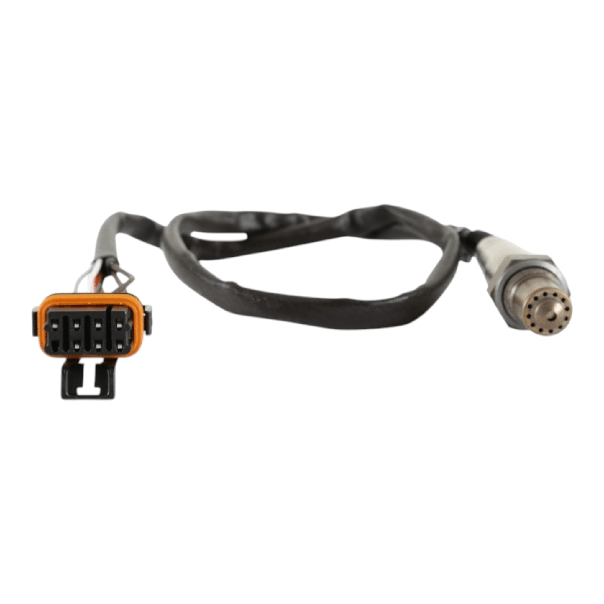Holley - Bosch O2 Sensor - ICT Billet HLY-554-101