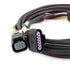 Holley LS DBW Wire 6-Pin Throttle Body Harness - ICT Billet HLY-558-406