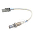 LT O2 Oxygen Sensor - ICT Billet SEN043